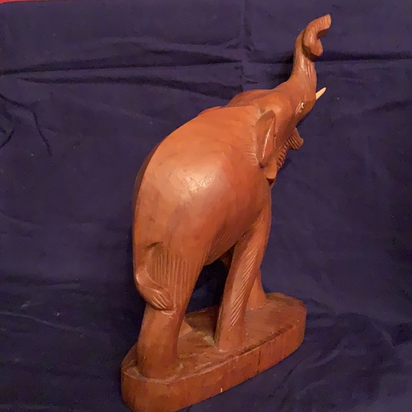 Elephant - Picture 6 of 7